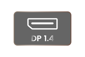 DP 1.4