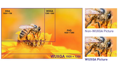 WUXGA Resolution for Unraveled Readability