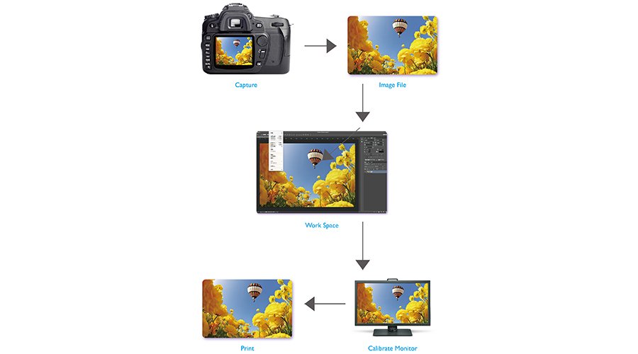 The real-world color management workflow shows the how a printed photo is produced from being taken, inputted in the computer software and processed by the calibrated monitor before the picture is outputted.