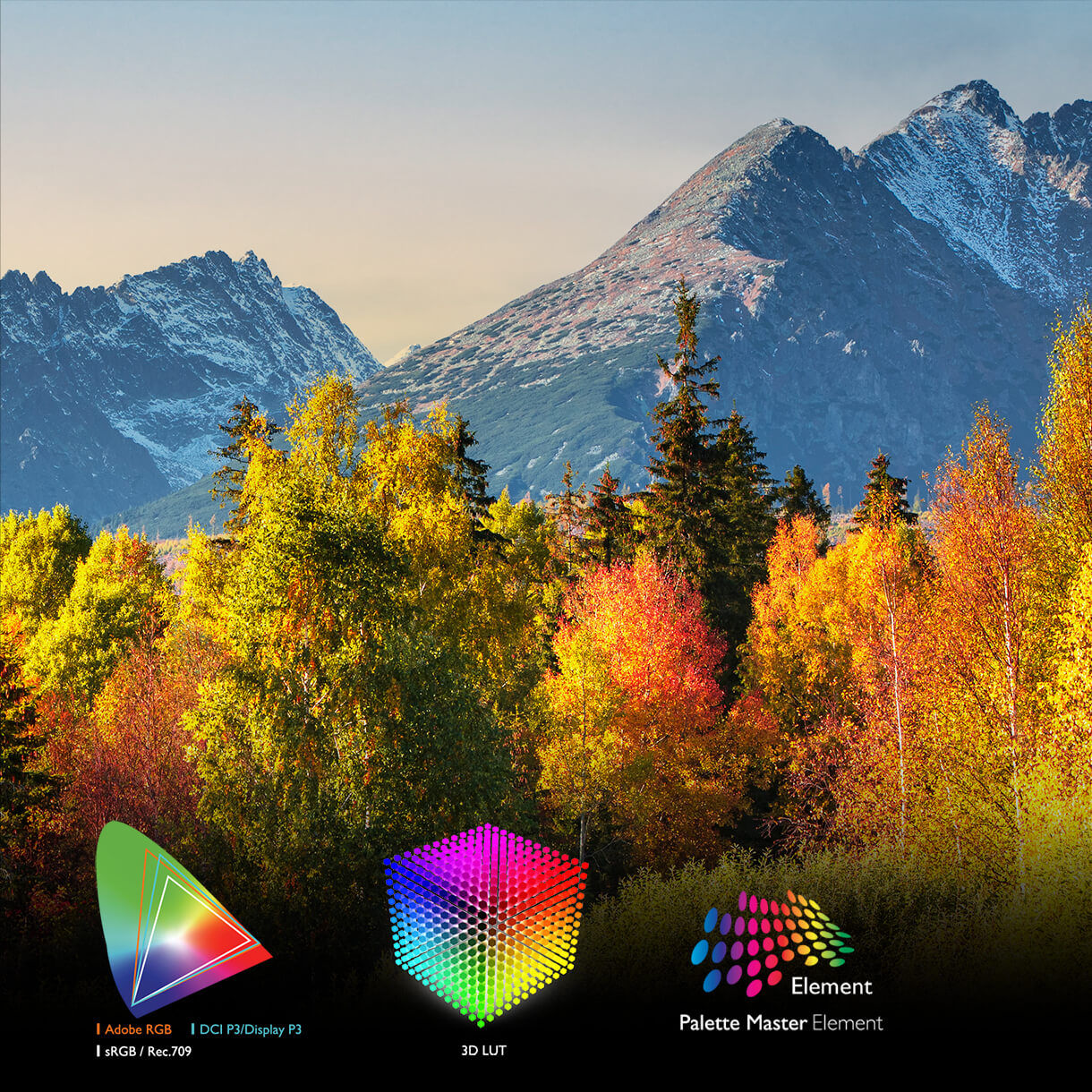 The 16-bit lookup table (LUT) improves color blending for precise reproduction. Delta E ≤ 2 in Adobe RGB and sRGB assures accuracy.