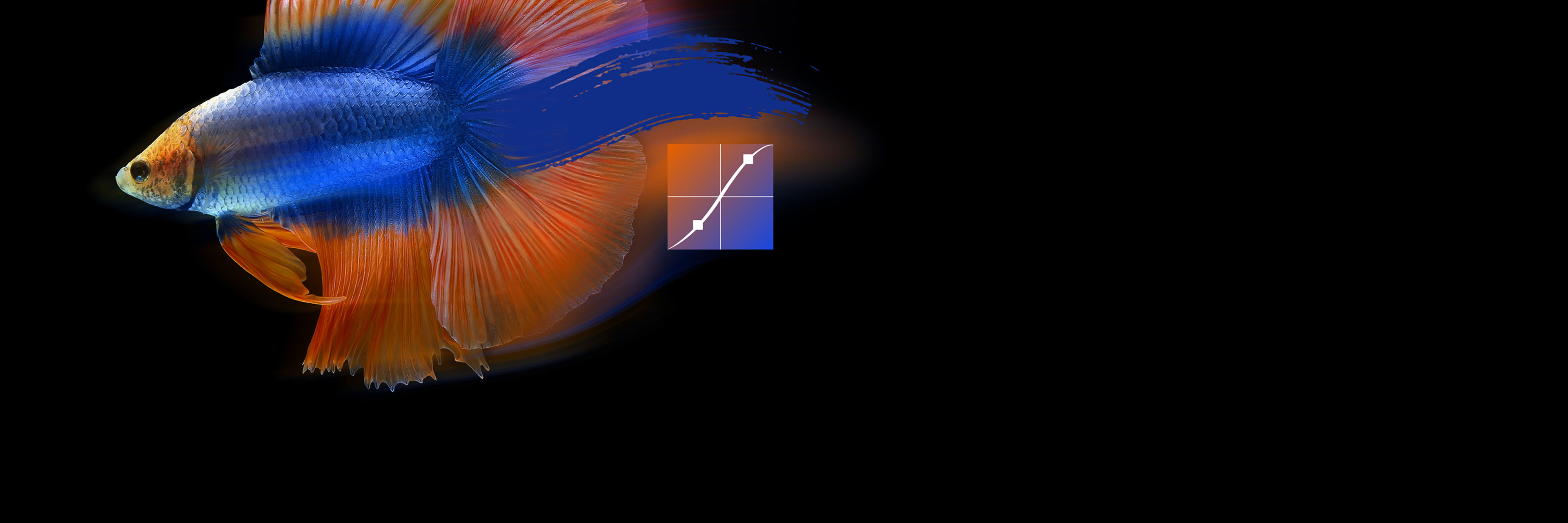 BenQ PD3225U 32-inch 4K 2000:1 P3 Mac® Devices Color Match Thunderbolt 3 Designer Monitor