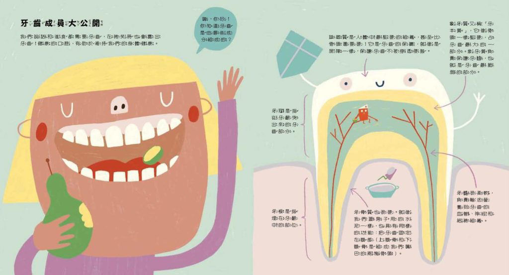 《我的健康守門員：牙齒》用繪本擺脫傳統衛教書-內頁