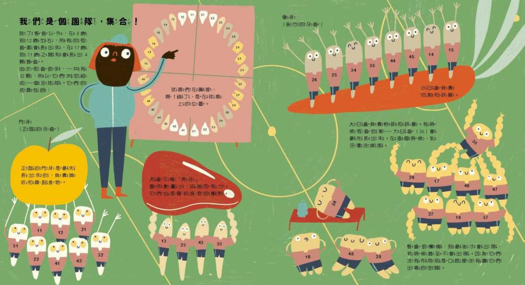 《我的健康守門員：牙齒》用繪本擺脫傳統衛教書-內頁