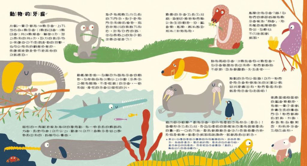 《我的健康守門員：牙齒》用繪本擺脫傳統衛教書-內頁