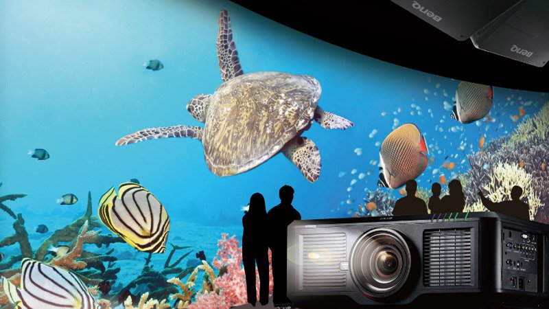 Turtles swimming on a wall projected by a large BenQ venue projector
