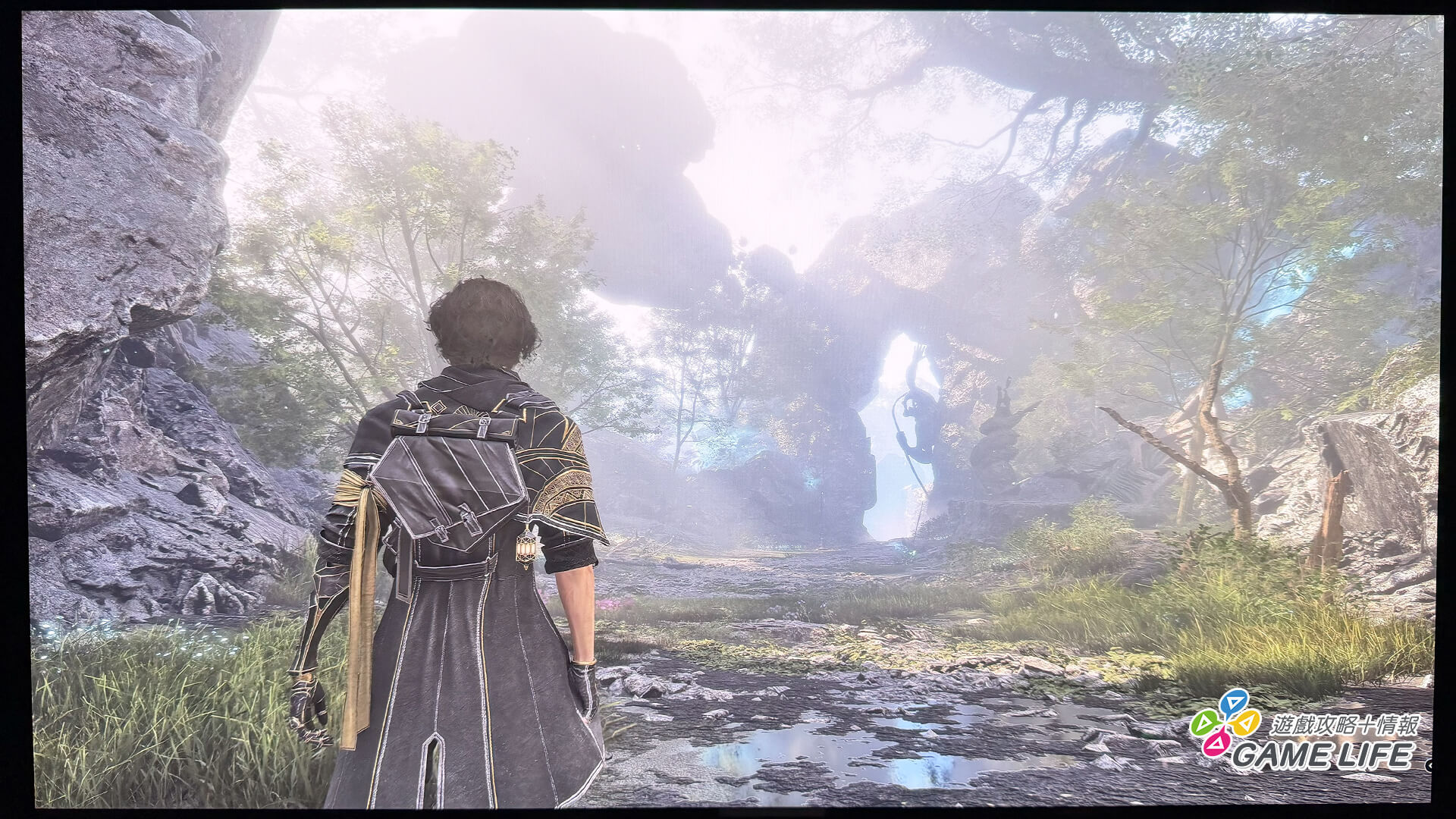 極端的高光畫面，遠處的樹梢依然保有一定的能見度，微風吹過晃動的樹葉也非常自然、柔美。