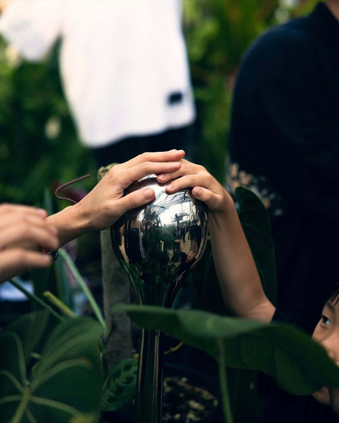 《SensWave 波感溫室》展區-共聲植島 Future Botanic