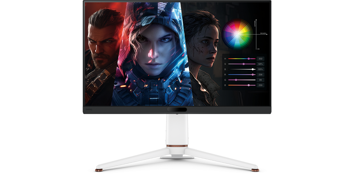BenQ Gaming Monitor