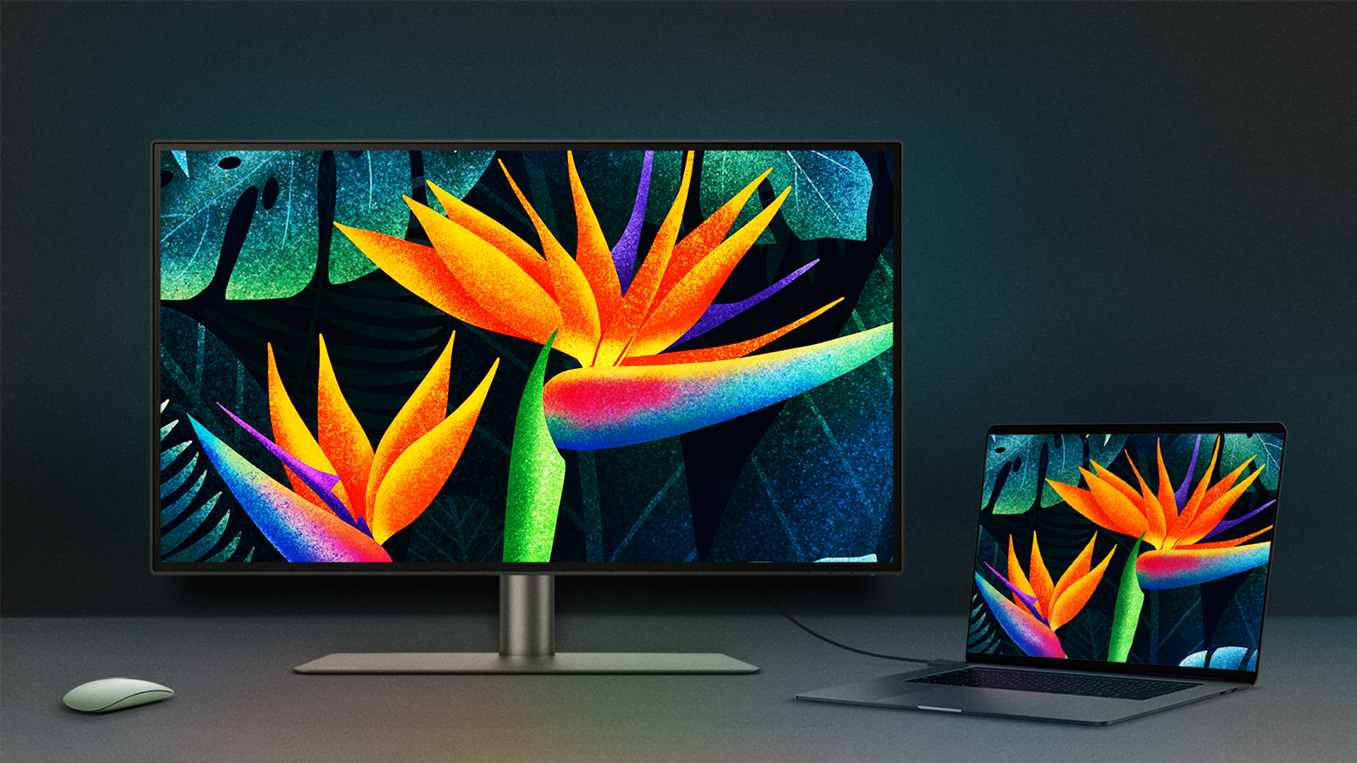 Best 4K UHD Monitors | BenQ US