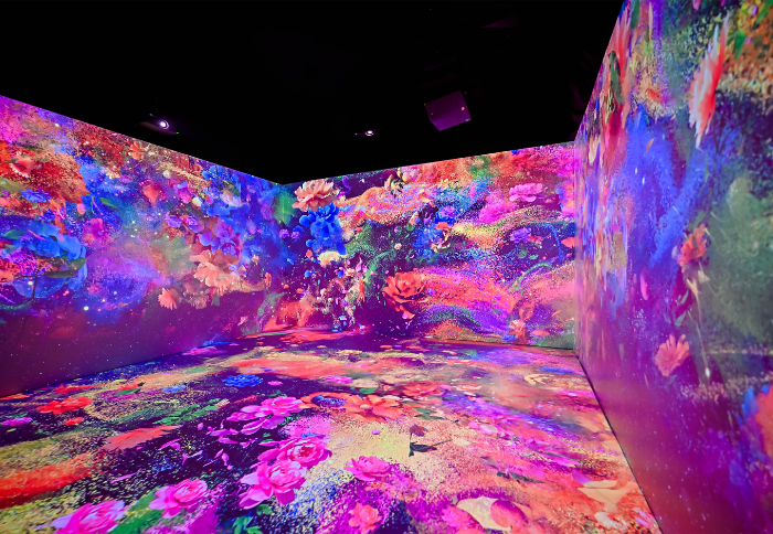 Museum Solutions - museum-benq-simulation