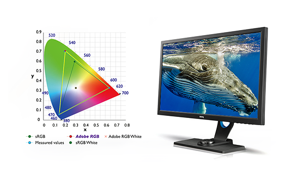 10-bit, 99% Adobe RGB Color Space with IPS Technology