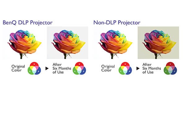 DLP Technology for Vibrant Color that Lasts