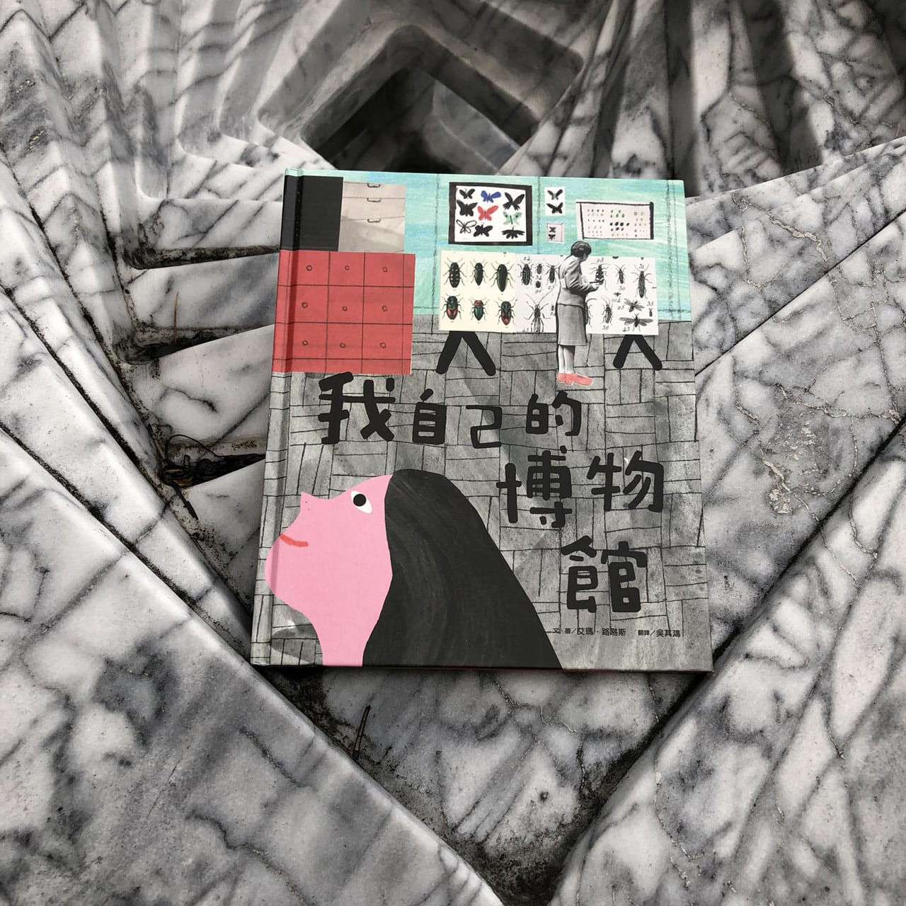 博覽世界稀奇珍寶外，不妨打造《我自己的博物館》-封面