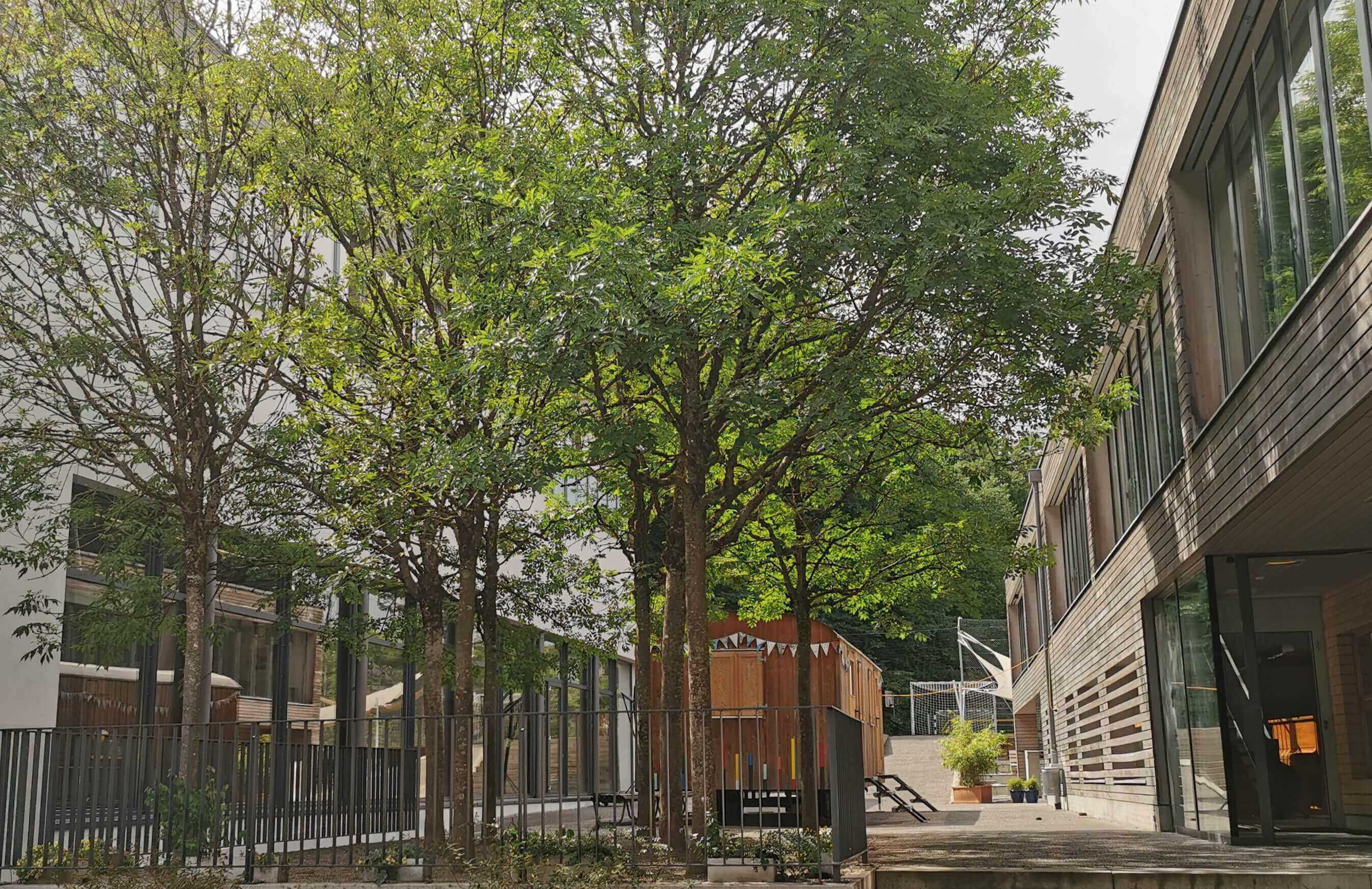  Digitale Transformation an der Volksschule der NMS Bern mit BenQ