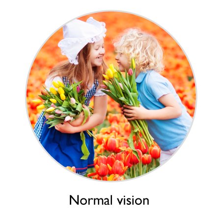 Color de visión normal