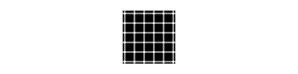 Optische illusie: je ziet kleine zwarte puntjes die niet zichtbaar zijn op de foto.