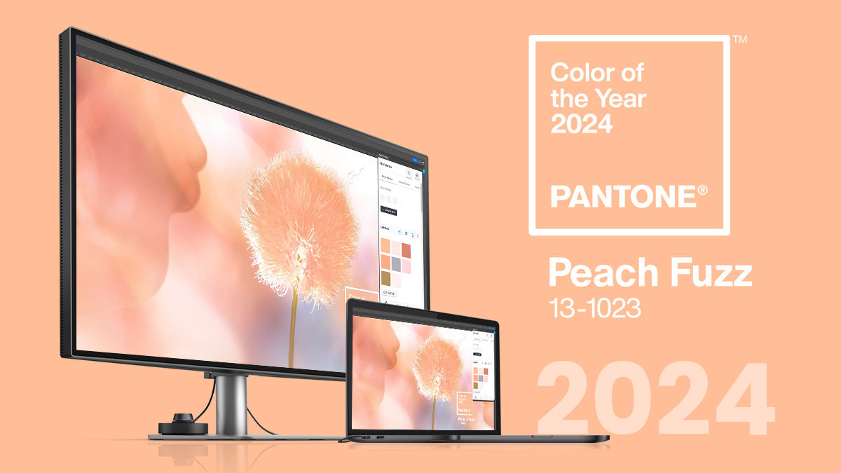 Pantone's Color of the Year 2024: Peach Fuzz