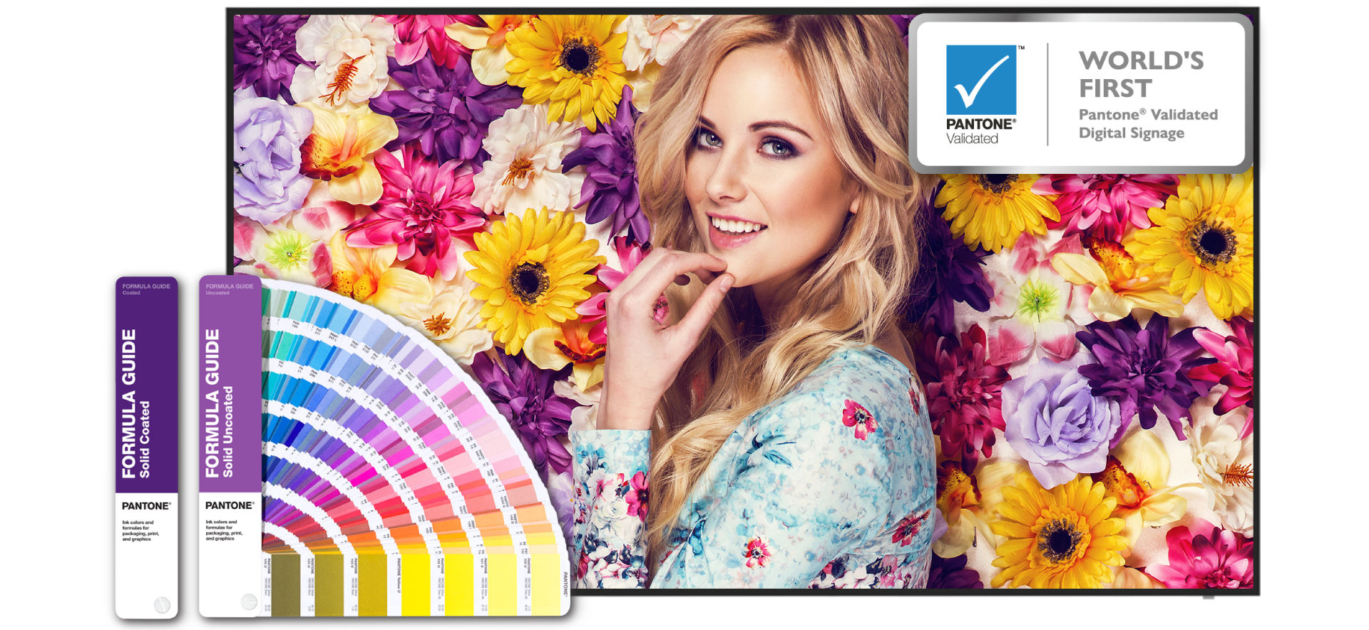 Modalità di colore per segnaletica digitale convalidata da Pantone