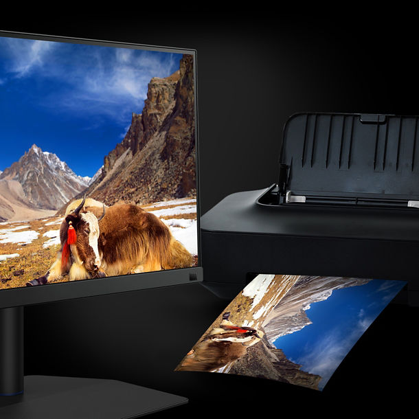 Nuevo Monitor BenQ SW272Q - ROBISA