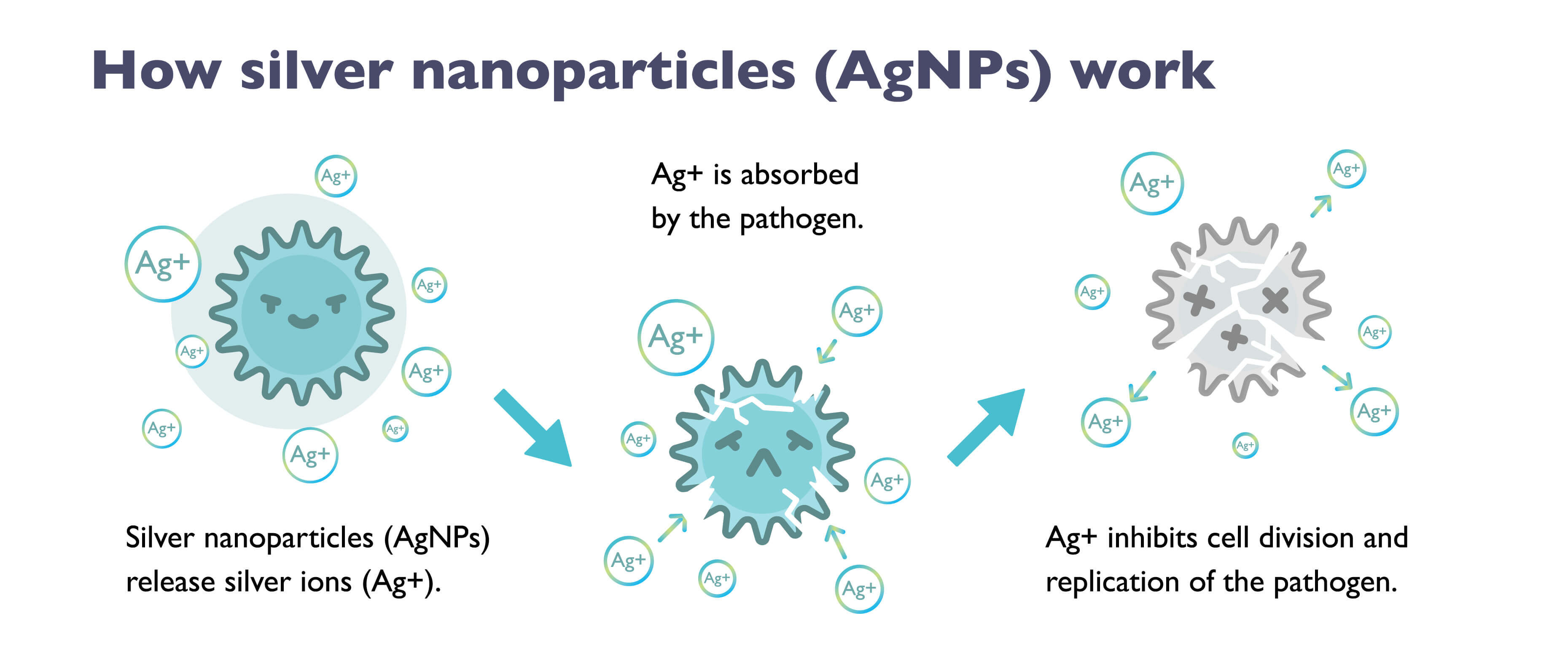 BenQ: Innovations in waterproof breathability and antibacterial protection