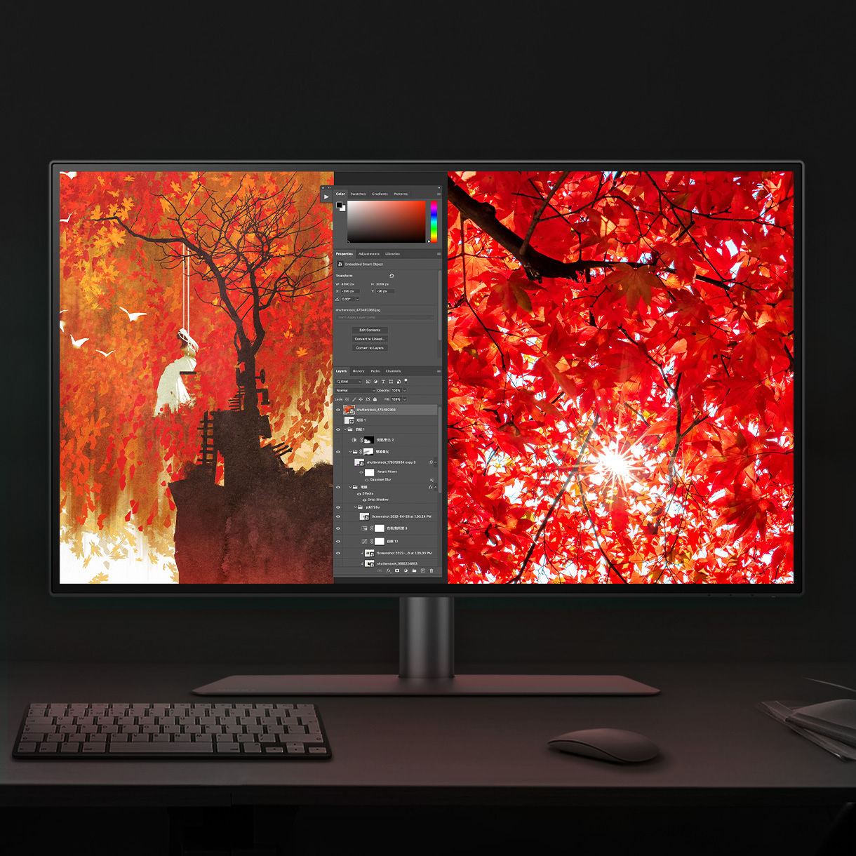 BenQ DesignVue Monitors with Picture In Picture (PIP) and Picture By Picture (PBP) let you customize your work flow.