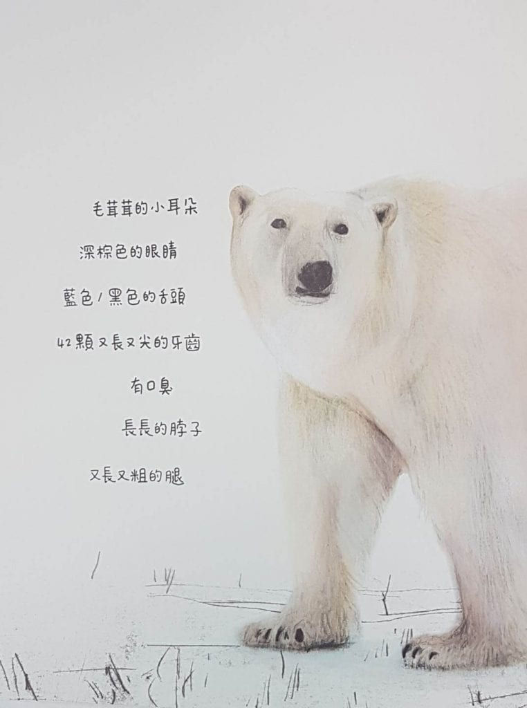 《北極熊》繪本內頁