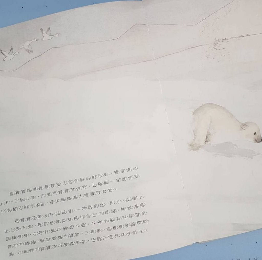 《北極熊》繪本內頁