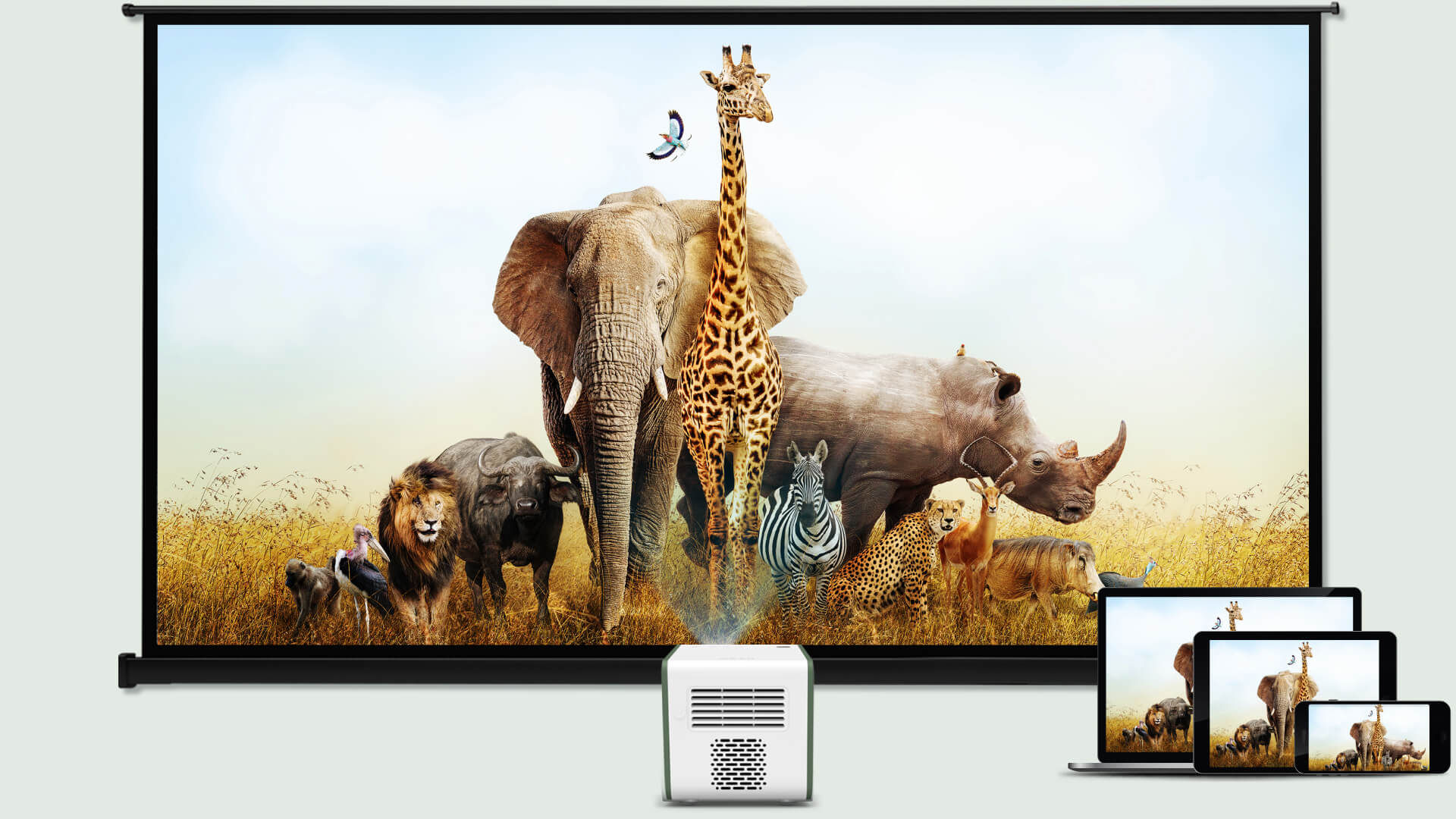 AirPlay und Google Chromecast GS50