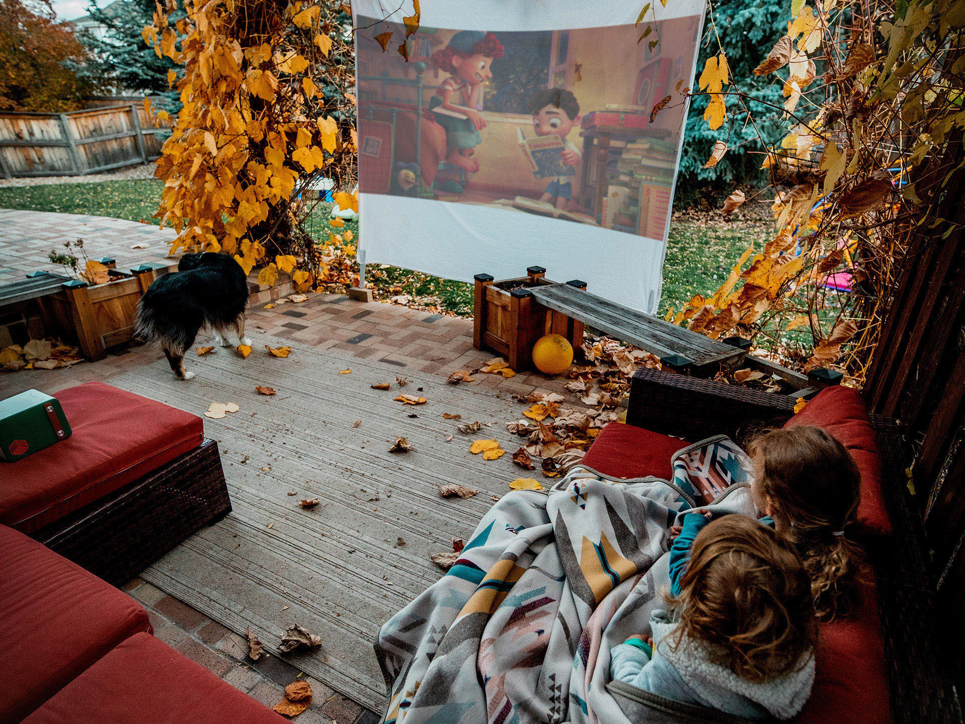 Find the best daylight projector for outdoor use. Explore portable projectors with built-in batteries and easy setup for bright, clear images—perfect for movies, camping, and outdoor events.