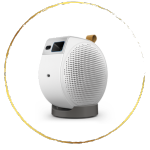 BF25-icon-testing - 7