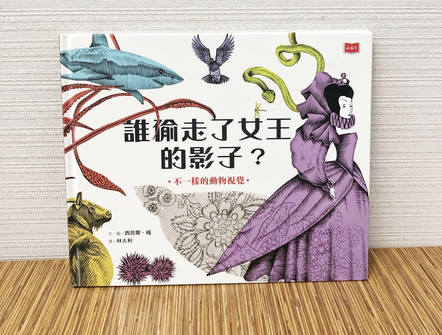 誰偷走了女王的影子？