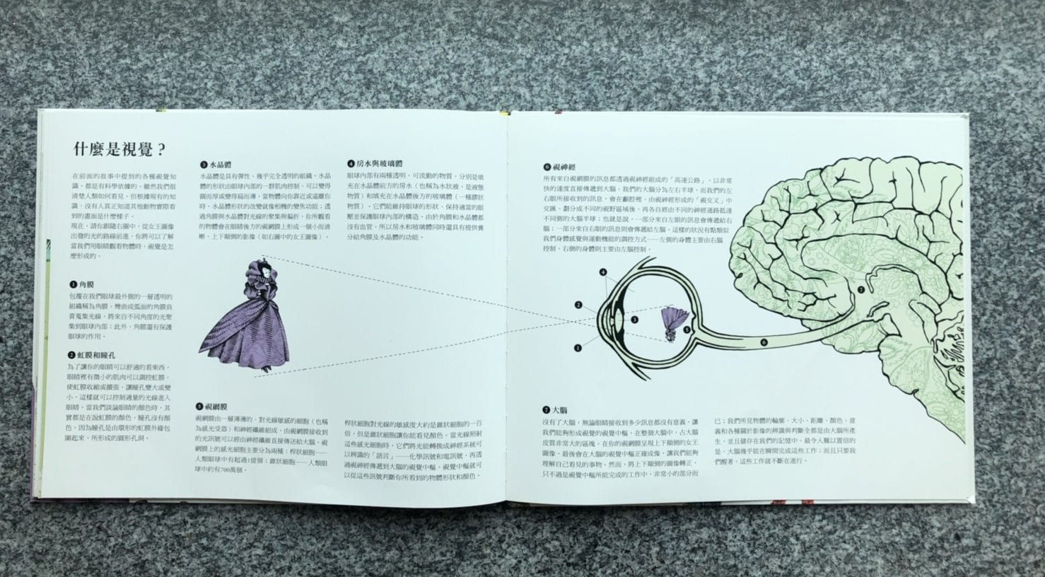 誰偷走了女王的影子？