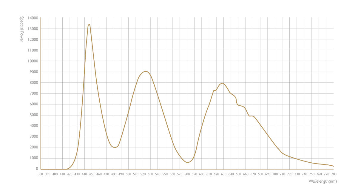 Measurement Made by Spectroradiometer; from 380 nm to 780 nm with 1 nm interval.