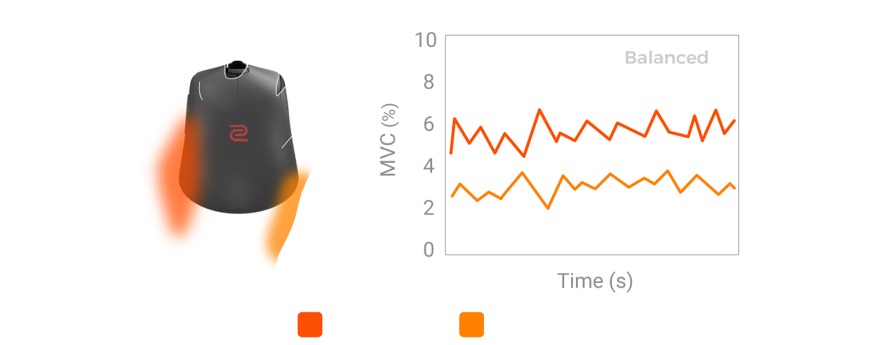 Activation musculaire du S2-DW