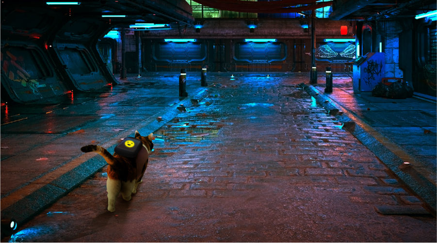 Stray' on PS5: What We Know About the Cyberpunk Cat Simulator