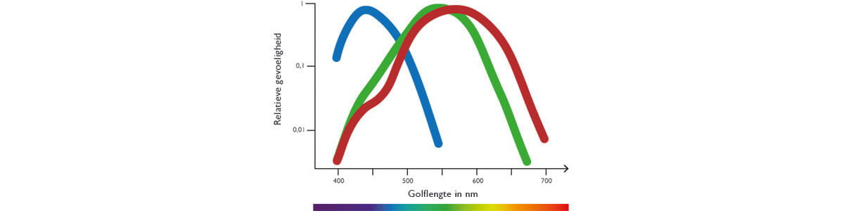 De relatieve gevoeligheid van de fotoreceptoren van het menselijk oog