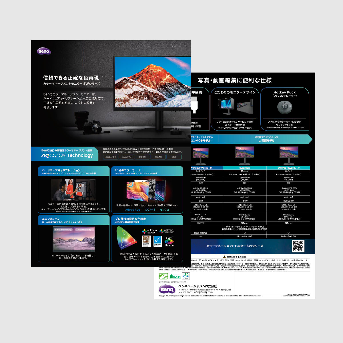 sw-flyer-thumbnail