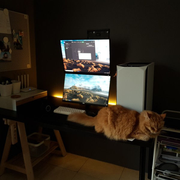 Review SW240 Monitor Fotografer BenQ Indonesia