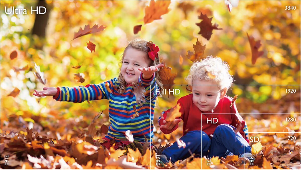 The screen presents two lovely children sitting in a pile of fallen maple leaves with ultra HD resolution.