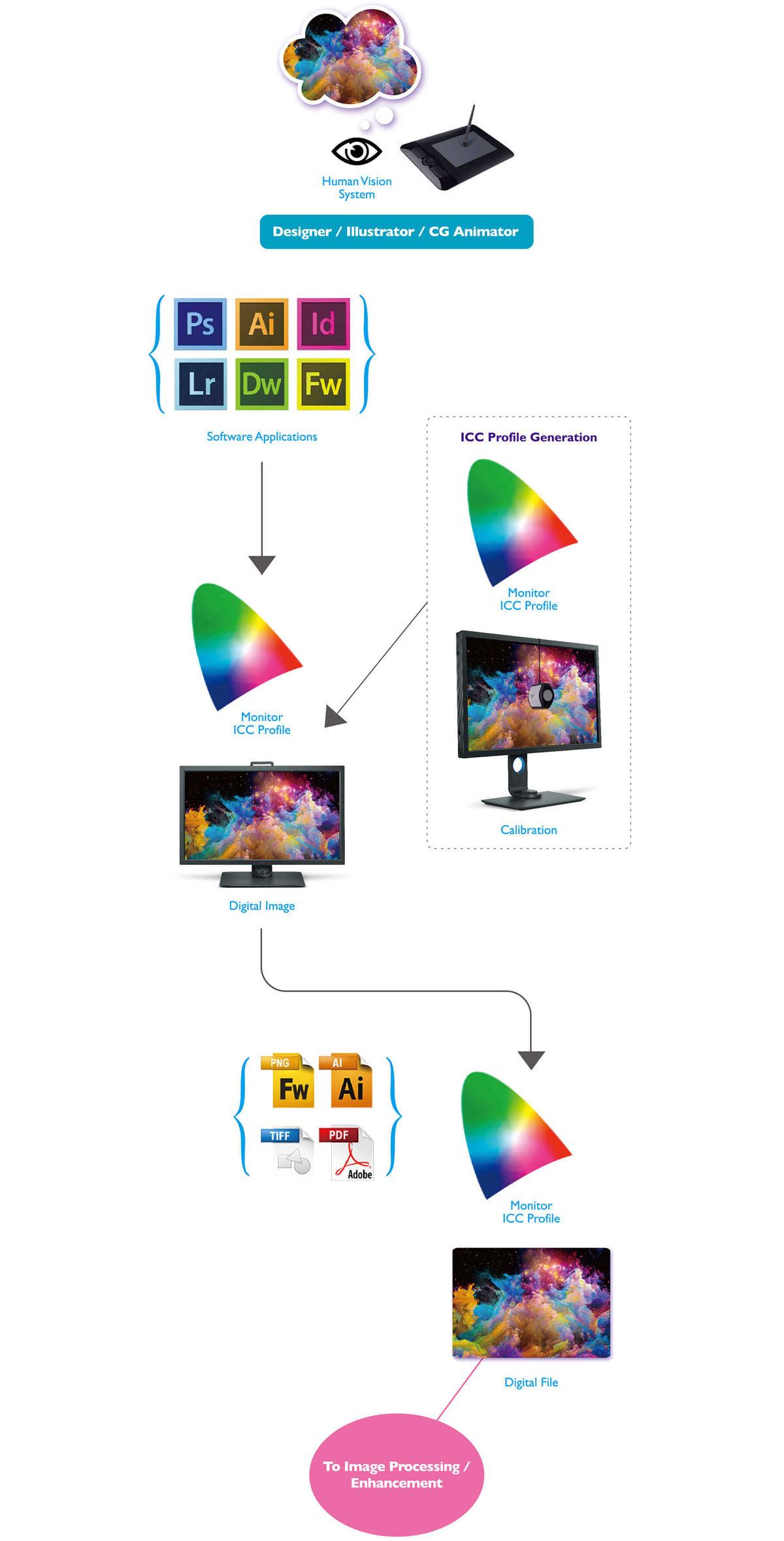 Professionals like designers, illustrators and CG animators tend to use various software applications and calibrated monitors to process digital image and color management to enhance their work effiency.