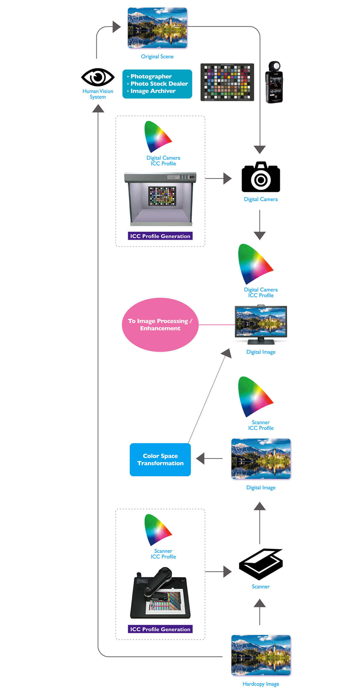 Professionals like photographers, photo stock dealer and image archiver tend to take reference from digital camera ICC profile and  process original scenes taken by digital camera, transform the color space to process color management and enhance their work efficiency.