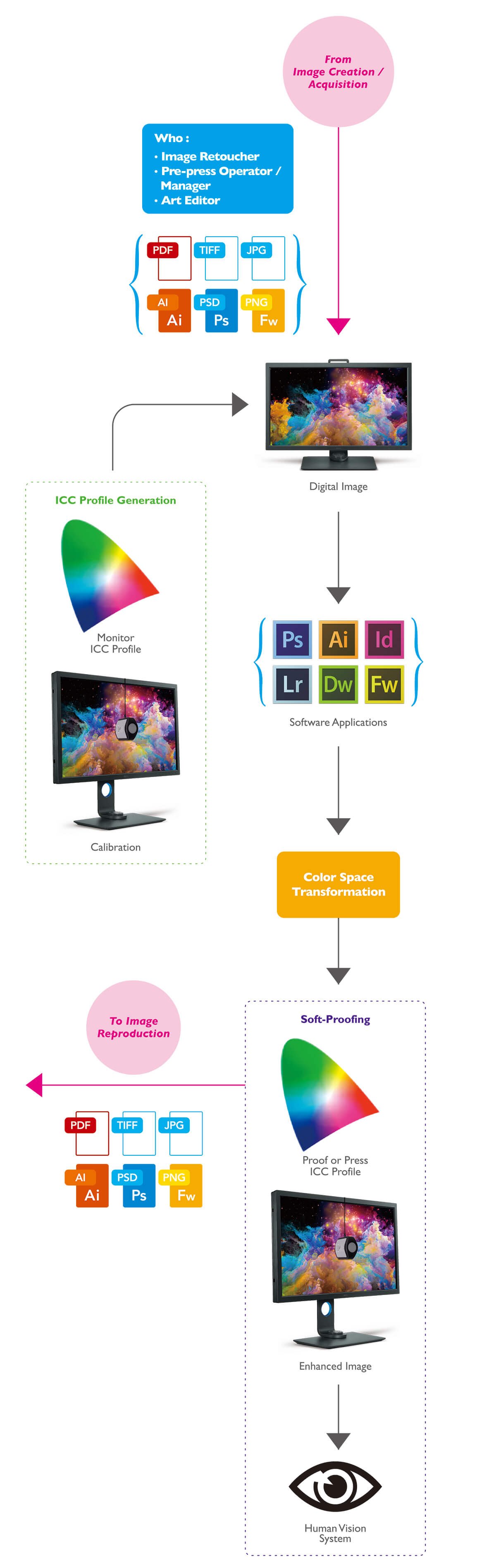 After processing image creation and image acquisition for the first step, professionals like image retoucher, pre-press operators and art editors will apply software applications and calibrated monitor to transform color space to enhance and reproduce the image.