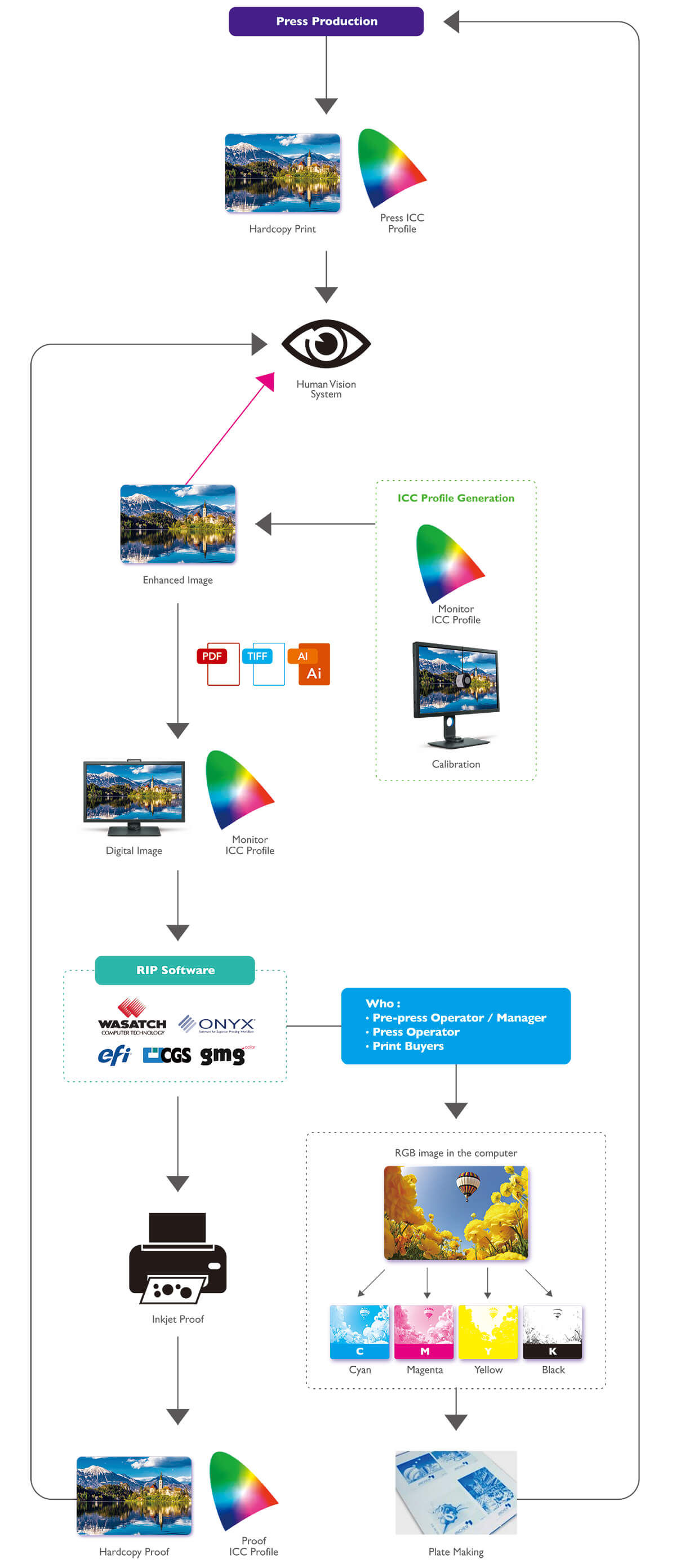 The workflow takes press production for example to introduce how each stages such as plate making the image, image enhancement and calibrated monitor are involved in typical printing process. 