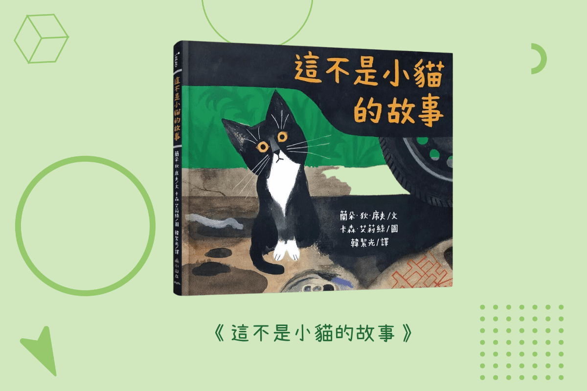 這不是小貓的故事_封面