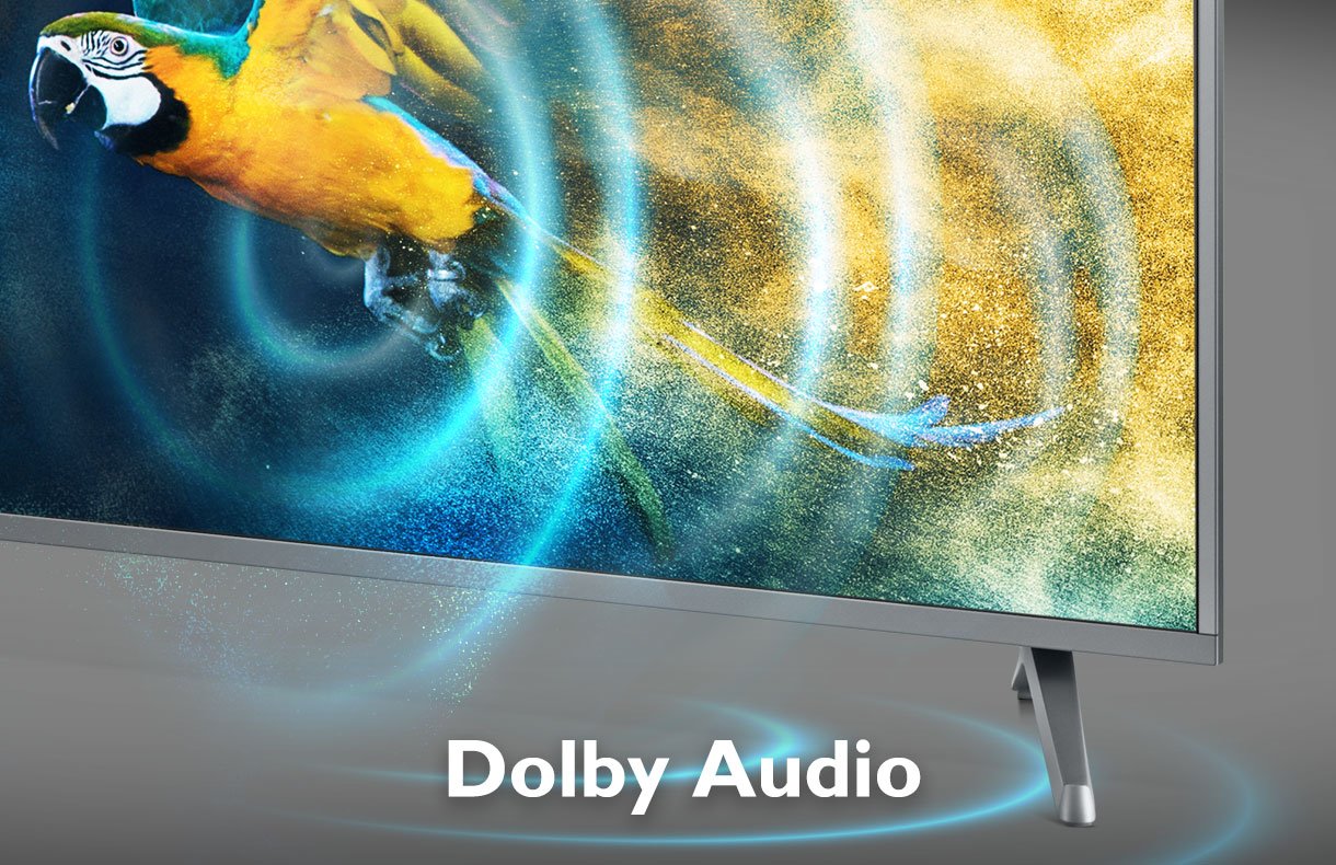 Dolby Audio 杜比音效