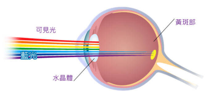 BenQ親子系列_眼科爸爸醫生這樣做