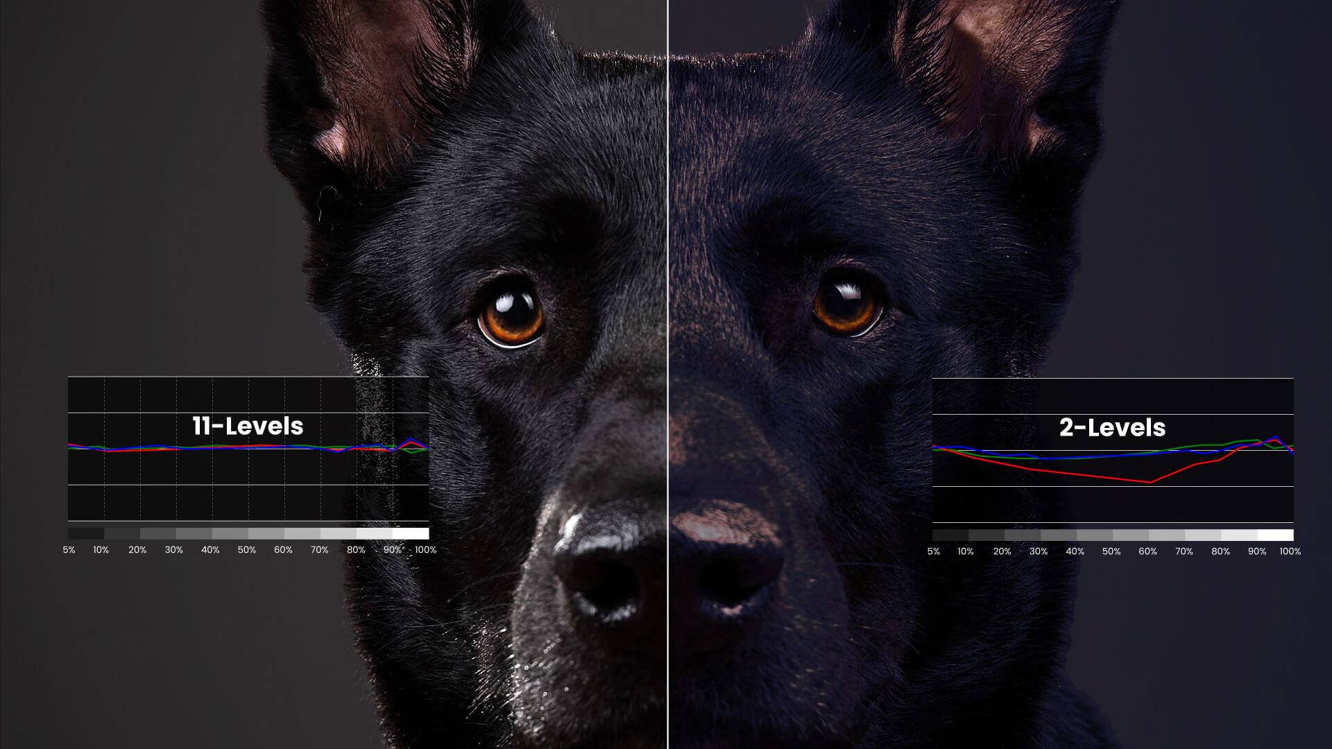 Comparison image for temperature adjustment.