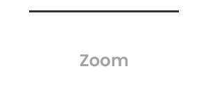 1.2x  Zoom