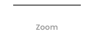 1.2x  Zoom