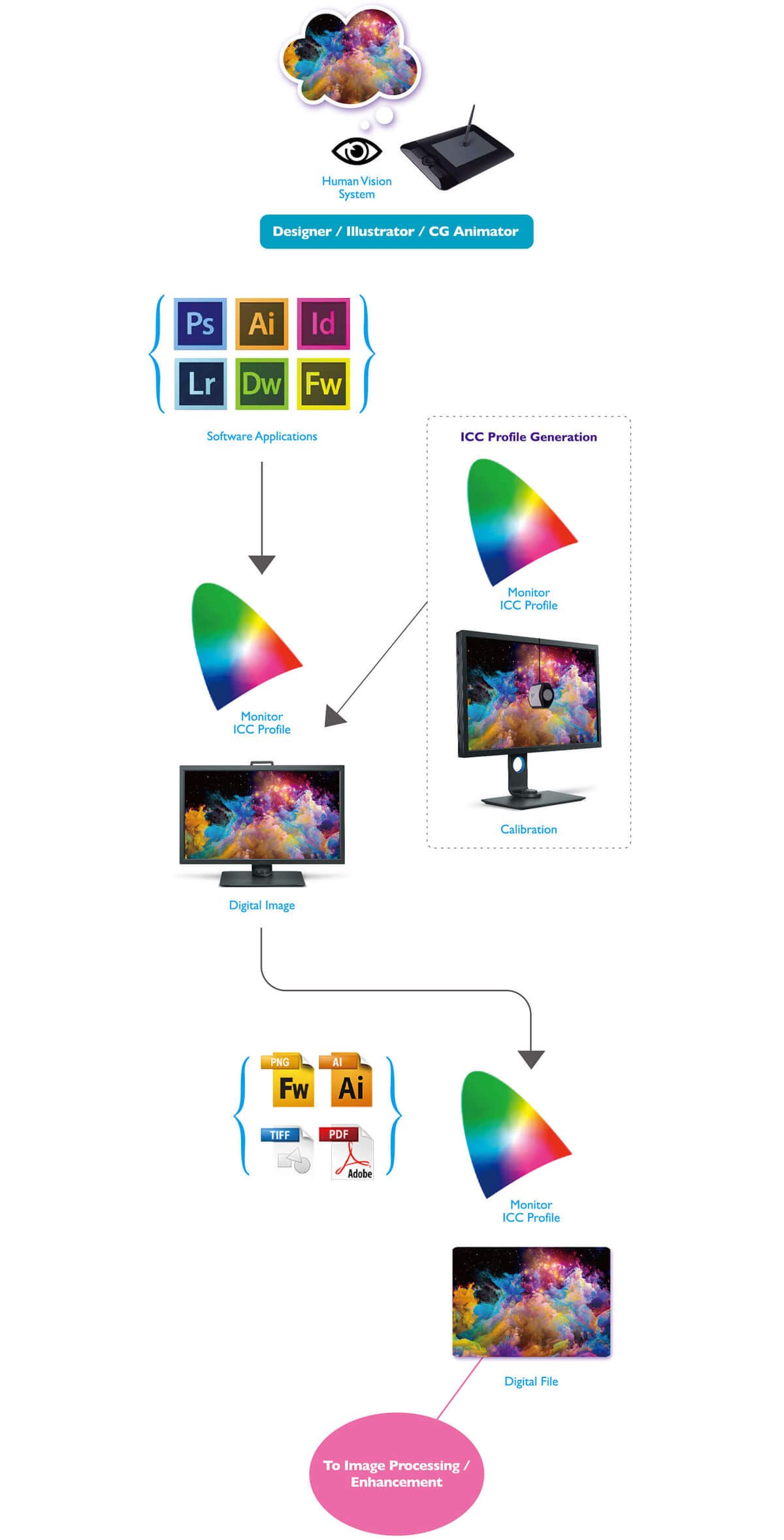 Vai trò của màn hình máy tính trong quy trình quản lý màu sắc của Designer 